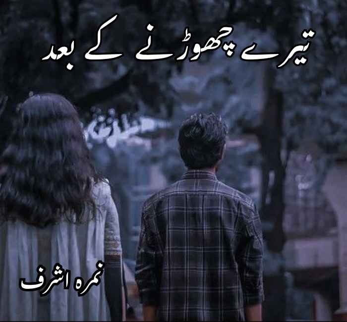 Tere Chorney Ky Baad